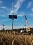 /upload/resize_cache/iblock/d2a/500_500_1/ss (2016-09-21 at 12.24.03).jpg